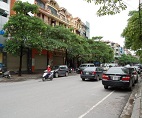 Imagen del perfil