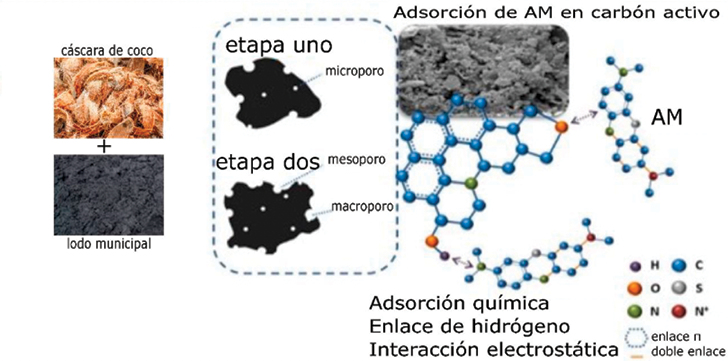 Activador biológico - Potenciar procesos de depuración